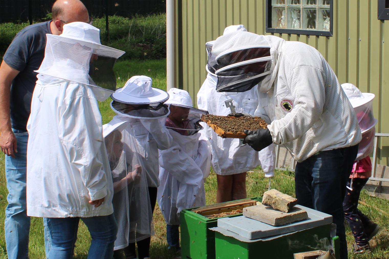 Imker Manfred Kochs zeigt einer Kleingruppe den Aufbau des Bienenstocks und die Zusammenarbeit im Bienenvolk